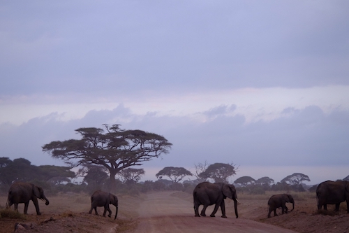 7年ぶりのアフリカ