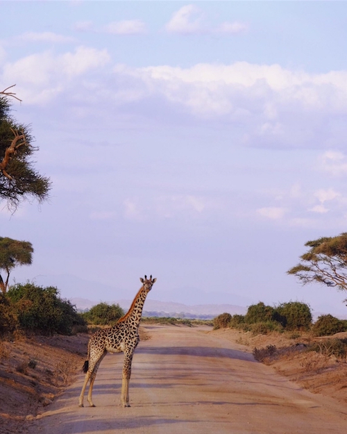 7年ぶりのアフリカ