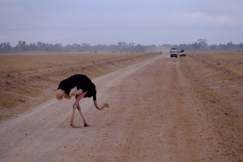 7年ぶりのアフリカ