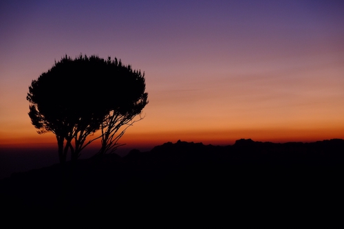 奇想天外 〜キリマンジャロ登山を終えて〜