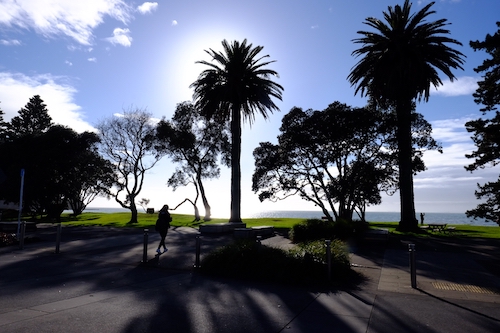 ニュージーランドで新生活スタート