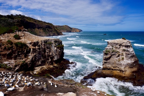 ニュージーランドで新生活スタート 
