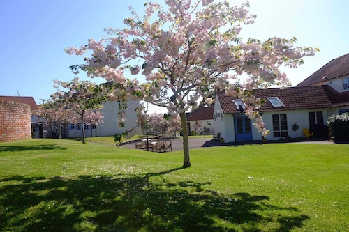 いま、こちらは春。校庭の八重桜が満開。桜を見ると何だかホッとする。