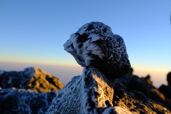 奇想天外だったキリマンジャロ