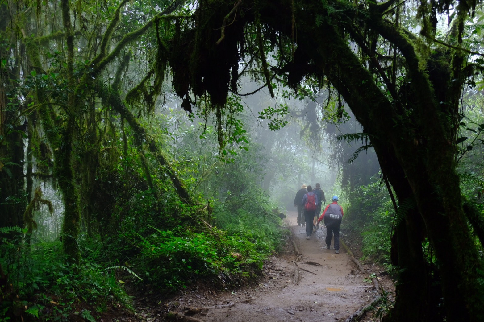 2019年7月 タンザニア・キリマンジャロ｜写真集｜野口絵子オフィシャル